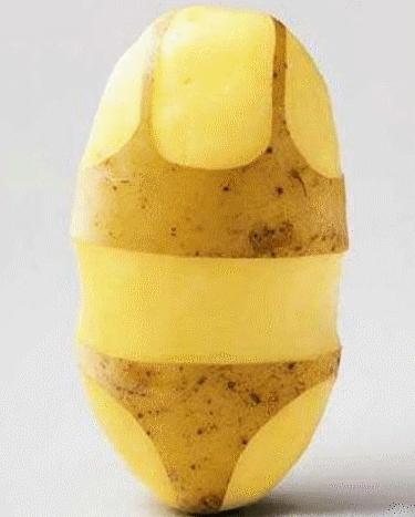 Le présent (Sophie Hannah)