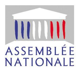 rapport-piscines-assemblee-nationale