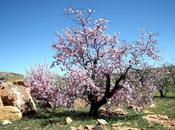 Rendez-vous printanier