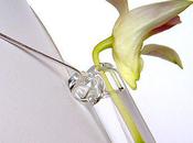 collier d'orchidée pour fêter printemps