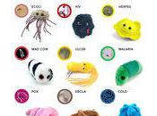 Virus, bactéries, autres petites bestioles