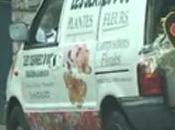 Remi Gaillard mode papillon