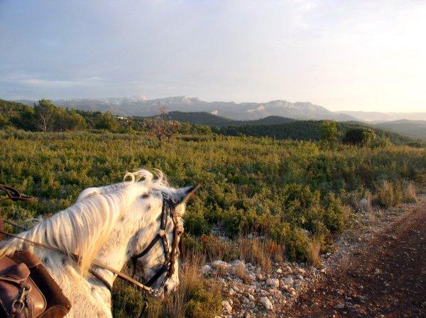 Aurore printanière (Su Shih)