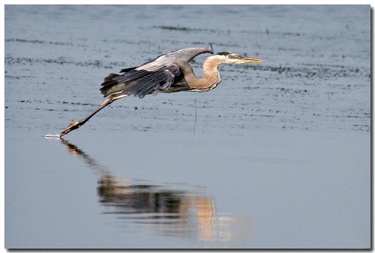 Te souviens-tu (Li Ch’Ing-Chao)