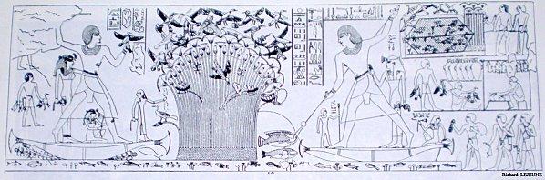 Cailliaud - Tombe Néferhotep-1