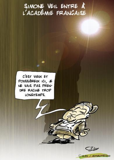 Simon Veil sous la Coupole : c'est parti pour le coup de plumeau ?