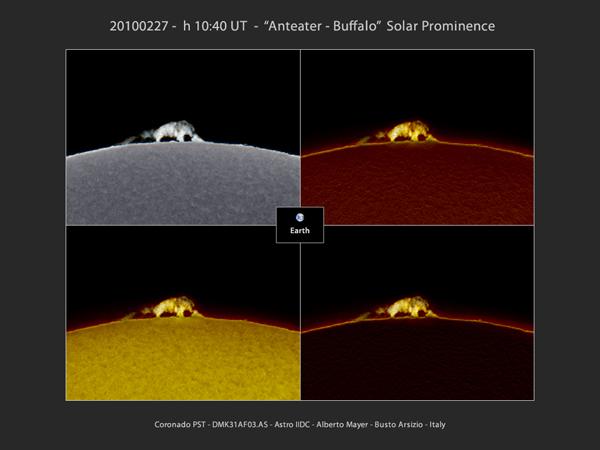 Image d’un bison sur le Soleil