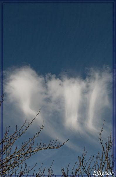 IMG_2653_copie