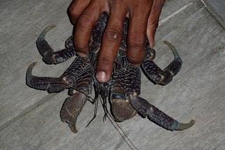 Voyage au coeur de la carte postale