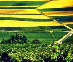 ps agriculture intensive pesticide bien manger europe ps76 blog76.jpg