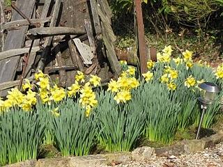 encore perdu une occasion de me taire...