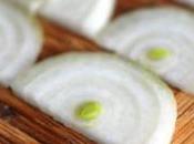 malédiction oignons font pleurer enfin résolue