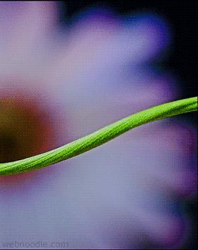 Impossible de moderer , ca beug de partout