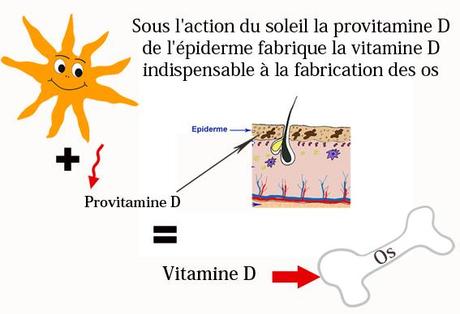 Les bienfaits et les vertus de la vitamine D