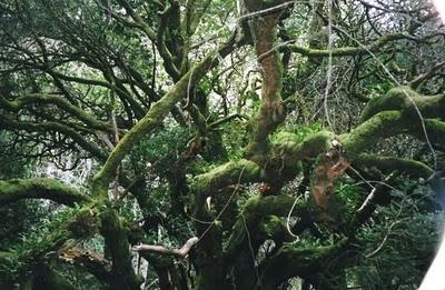 Helen Korparkhttp://www.flickr.com/photos/helenkorpakhttp...