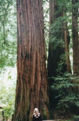 Helen Korparkhttp://www.flickr.com/photos/helenkorpakhttp...