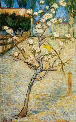 Une floraison éphémère ... Van Gogh - Poirier en fleurs, 1888