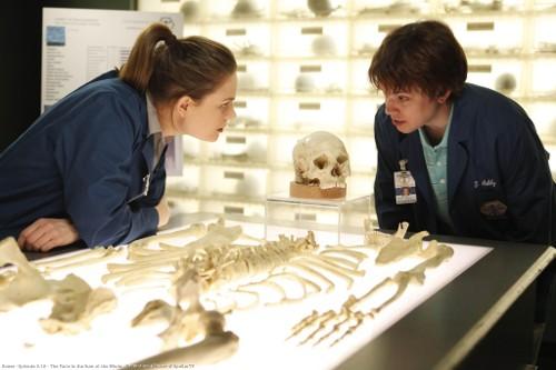 Bones 516 (saison 5, épisode 16) ... les photos promo