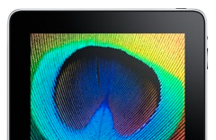 Samsung fera des écrans pour l’iPad