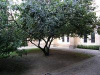 Festival: EHD 2006, Part 2