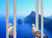 Ouvre grand fenêtre (Ping Hsin)