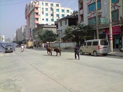 Carnets, 19 février (2/4): Encore des miles