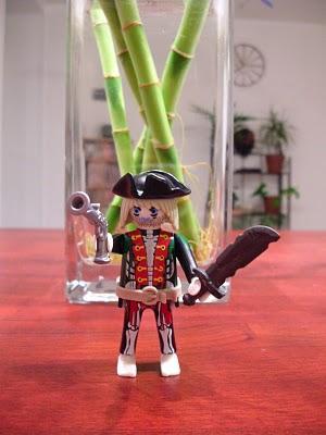 Playmobils : nouvel arrivage