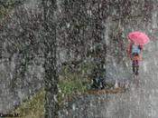 Photos jour: mars 2010