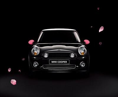 MINI meets Sakura
