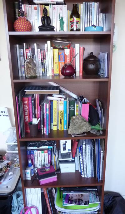 P1030262 [Tatiana] Ma théorie des étagères...