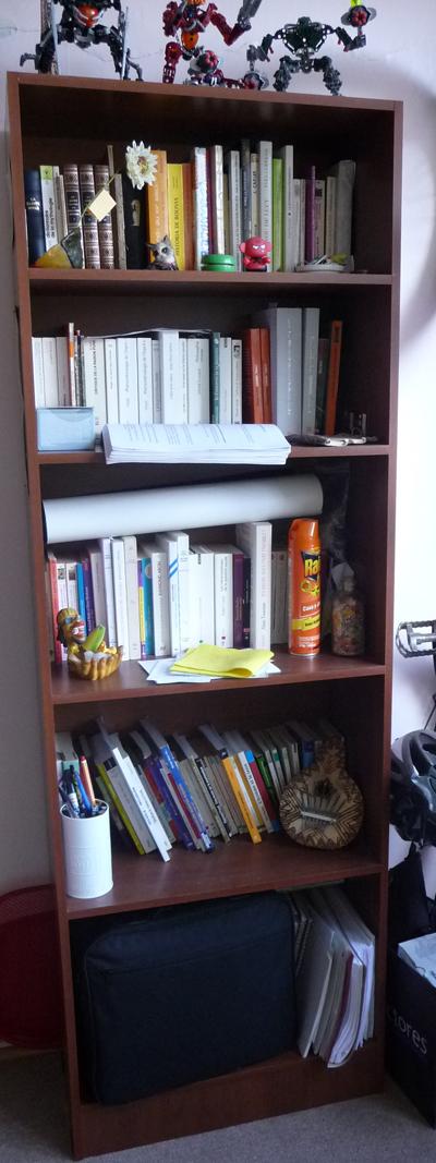 P1030263 [Tatiana] Ma théorie des étagères...