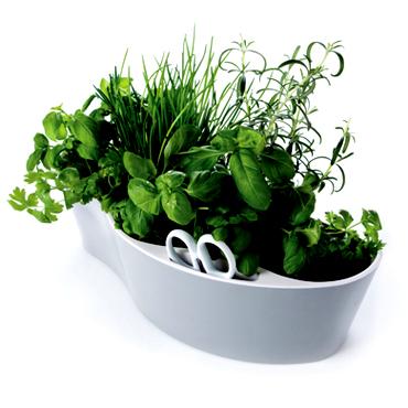Herb Garden, prix disponible sur site 
