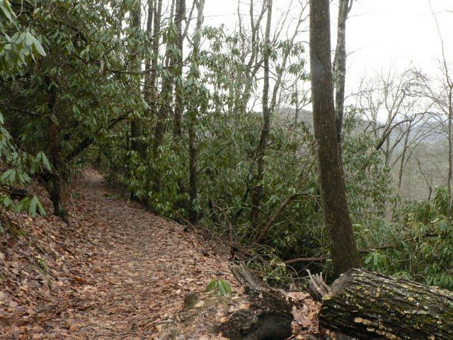 Sycamore Cove Trail