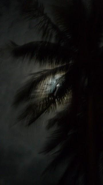 Koh Tao light and night