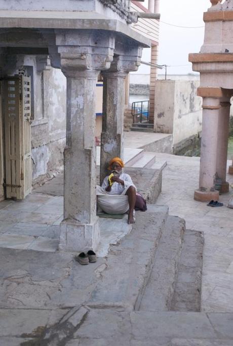 Une Plongée dans le Lait en Inde
