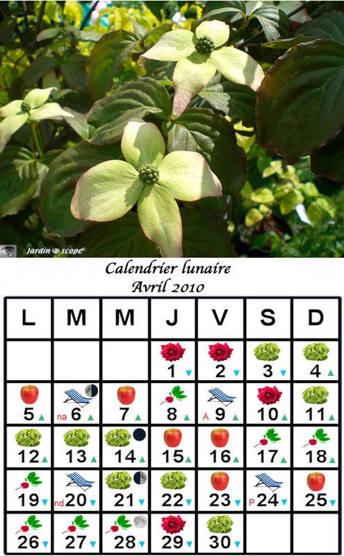 Calendrier_lunaire_avril_2010
