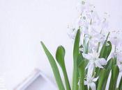 DIMANCHE BLOG (crédit photo Val)Pur intérieuroOo