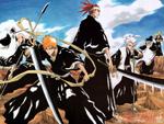 Bleach Shinigami Team, ©