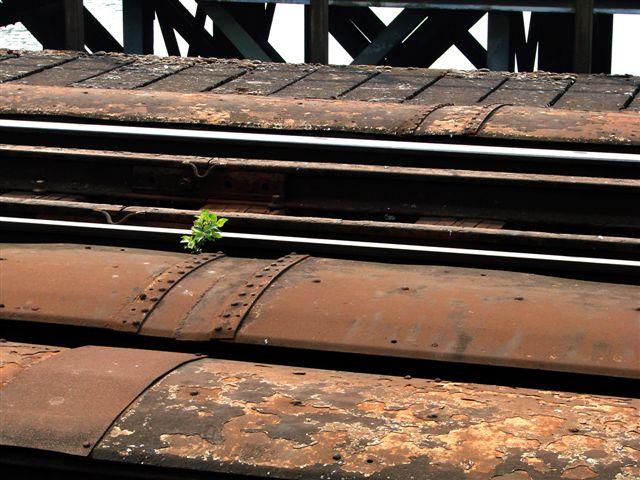 Comment te retrouverais-je (Ping Hsin)