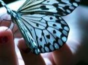 papillon (Ping Hsin)