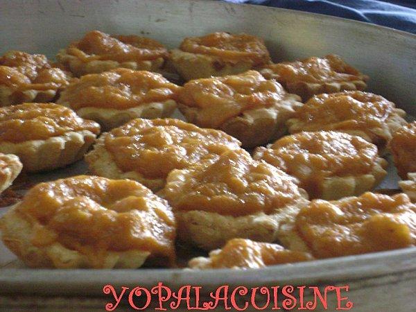 Diapositive1-copie-16