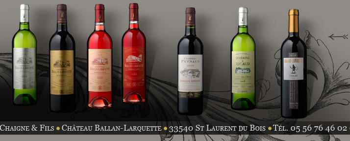 Capture d’écran 2010-03-29 à  07.37.25