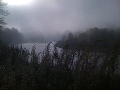 La gestion des 
territoires