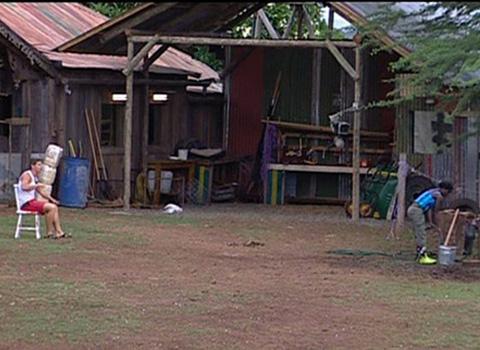 La Ferme Célébrités 3 ... Mais jusqu'où Mickaël peut-il aller ?