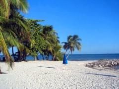 florida-beach.jpg