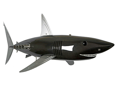 requin carbone design