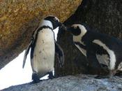 Mauricette Simonette reporters l'impossible...