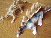 Squelette dinosaure pour cassé