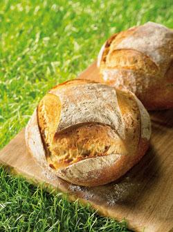 Du pain bio et durable