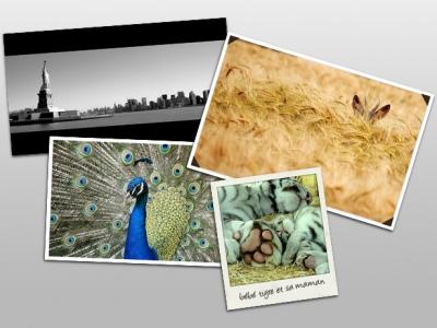 Astuce : créer un cadre sous Photoshop